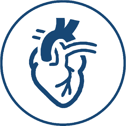 gratis-png-cardiologia-corazon-salud-cuidado-equipo-iconos-medicina-corazon-removebg-preview